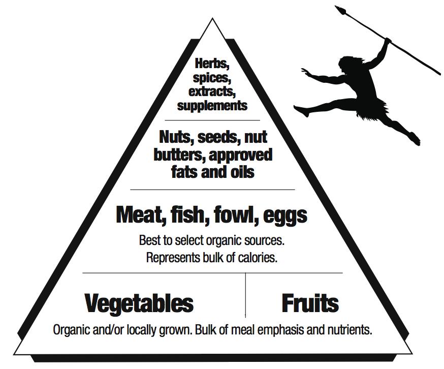 What would a paleo food pyramid look like?
